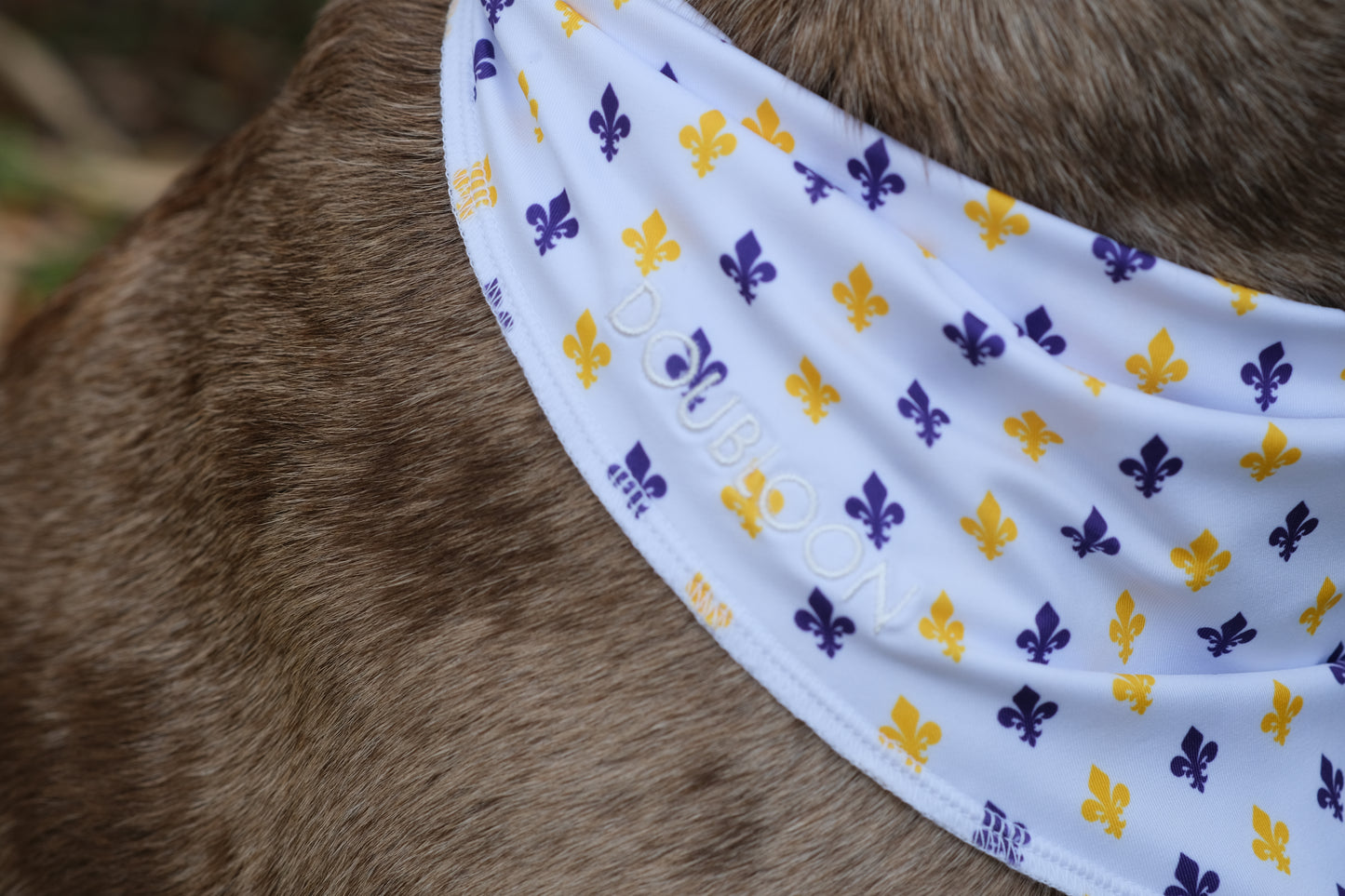 Dog Bandana